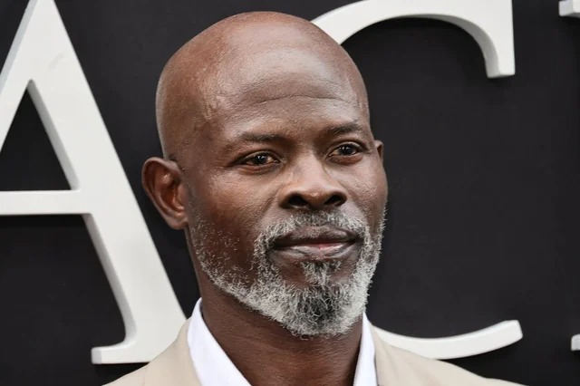 Djimon Hounsou : De Cotonou aux Oscars, L’Étoile Qui Ne S’Éteint Jamais