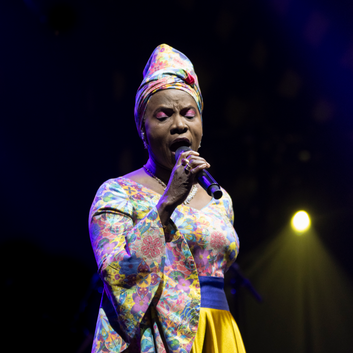 Angélique Kidjo : La Diva Qui Chante l’Afrique au Monde